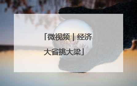 微视频｜经济大省挑大梁