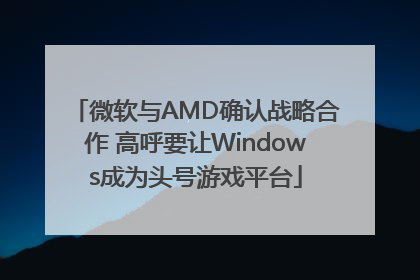 微软与AMD确认战略合作 高呼要让Windows成为头号游戏平台