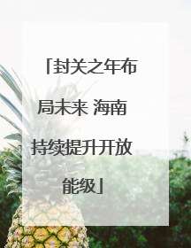 封关之年布局未来 海南持续提升开放能级