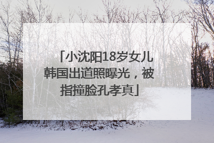 小沈阳18岁女儿韩国出道照曝光，被指撞脸孔孝真