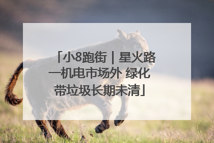 小8跑街｜星火路一机电市场外 绿化带垃圾长期未清