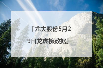 尤夫股份5月29日龙虎榜数据