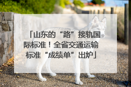 山东的“路”接轨国际标准！全省交通运输标准“成绩单”出炉