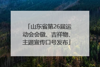 山东省第26届运动会会徽、吉祥物、主题宣传口号发布