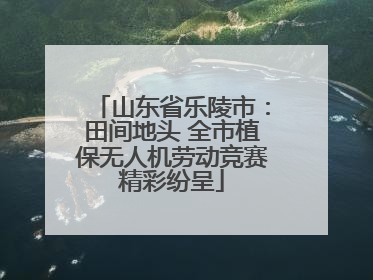 山东省乐陵市：田间地头 全市植保无人机劳动竞赛精彩纷呈