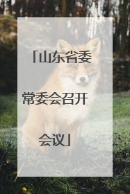 山东省委常委会召开会议