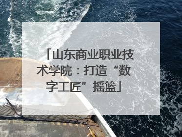 山东商业职业技术学院：打造“数字工匠”摇篮