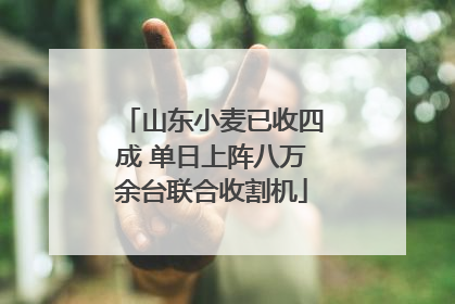 山东小麦已收四成 单日上阵八万余台联合收割机