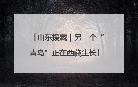 山东援藏｜另一个“青岛”正在西藏生长