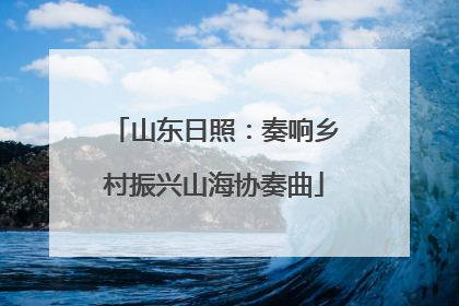 山东日照：奏响乡村振兴山海协奏曲