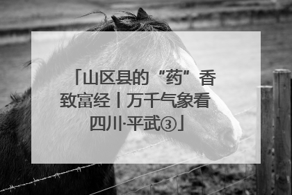 山区县的“药”香致富经丨万千气象看四川·平武③