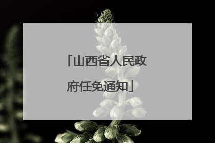 山西省人民政府任免通知