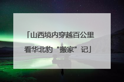 山西境内穿越百公里 看华北豹“搬家”记