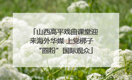 山西高平戏曲课堂迎来海外华媒 上党梆子“圈粉”国际观众