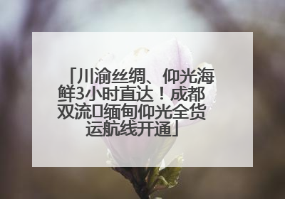 川渝丝绸、仰光海鲜3小时直达！成都双流⇌缅甸仰光全货运航线开通