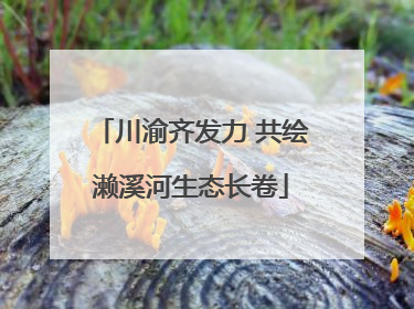川渝齐发力 共绘濑溪河生态长卷