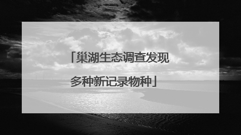 巢湖生态调查发现多种新记录物种