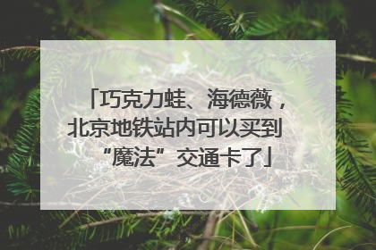 巧克力蛙、海德薇，北京地铁站内可以买到“魔法”交通卡了