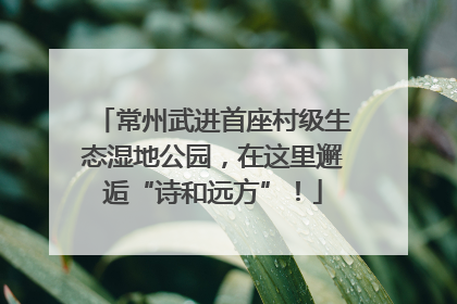 常州武进首座村级生态湿地公园，在这里邂逅“诗和远方”！