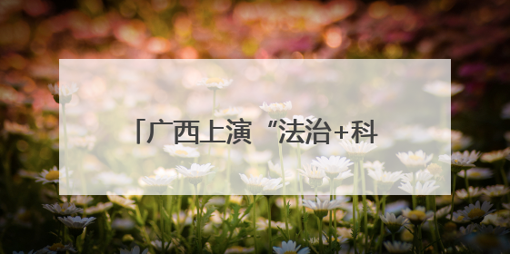 广西上演“法治+科技”沉浸式普法盛宴 护航青少年成长