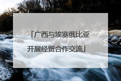 广西与埃塞俄比亚开展经贸合作交流