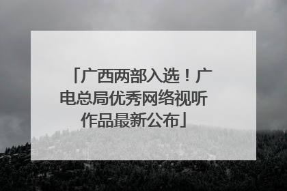 广西两部入选！广电总局优秀网络视听作品最新公布