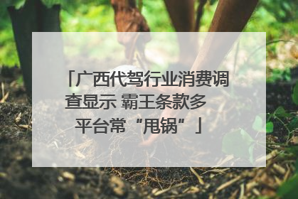 广西代驾行业消费调查显示 霸王条款多 平台常“甩锅”
