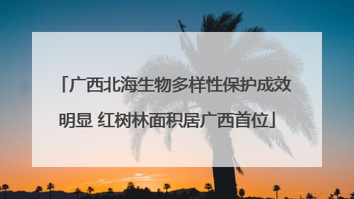 广西北海生物多样性保护成效明显 红树林面积居广西首位