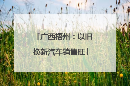 广西梧州：以旧换新汽车销售旺