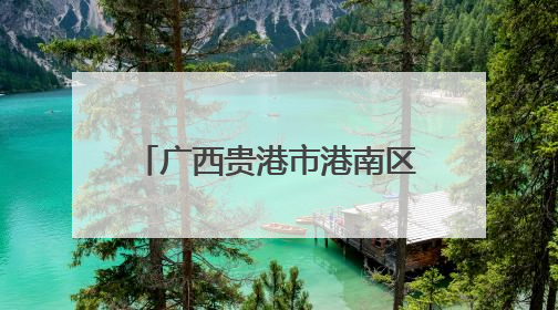 广西贵港市港南区：“藕”遇丰收季 泥中“掘金”忙
