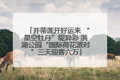 并蒂莲开好运来 “星空牡丹”绽异彩 洪湖公园“国际荷花派对”三天迎客六万