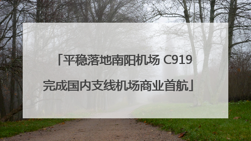 平稳落地南阳机场 C919完成国内支线机场商业首航