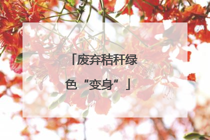 废弃秸秆绿色“变身”