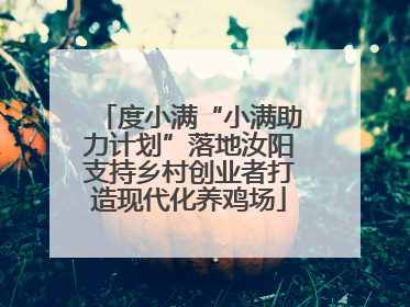 度小满“小满助力计划”落地汝阳支持乡村创业者打造现代化养鸡场