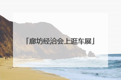 廊坊经洽会上逛车展