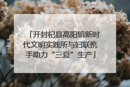 开封杞县高阳镇新时代文明实践所与妇联携手助力“三夏”生产