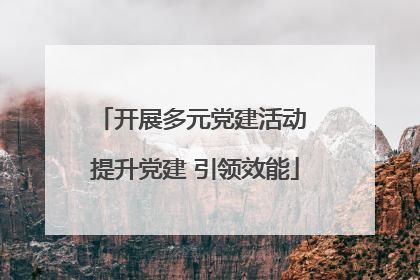 开展多元党建活动 提升党建 引领效能