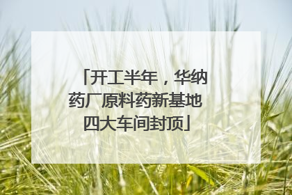 开工半年，华纳药厂原料药新基地四大车间封顶