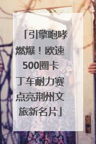 引擎咆哮燃爆！欧速500圈卡丁车耐力赛点亮荆州文旅新名片