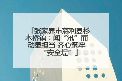 张家界市慈利县杉木桥镇：闻“汛”而动显担当 齐心筑牢“安全堤”