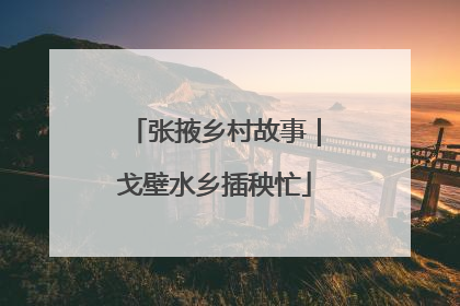 张掖乡村故事｜戈壁水乡插秧忙