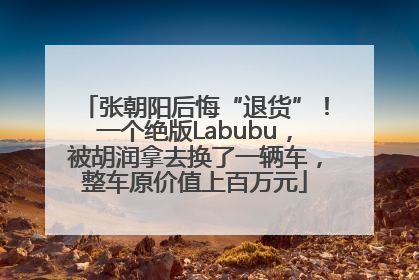 张朝阳后悔“退货”！一个绝版Labubu，被胡润拿去换了一辆车，整车原价值上百万元