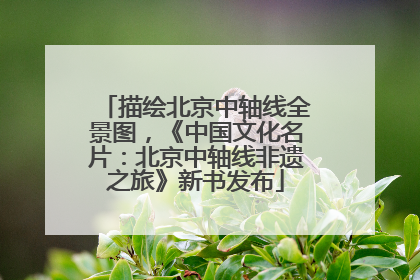 描绘北京中轴线全景图，《中国文化名片：北京中轴线非遗之旅》新书发布