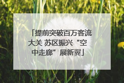 提前突破百万客流大关 苏区振兴“空中走廊”展新翼