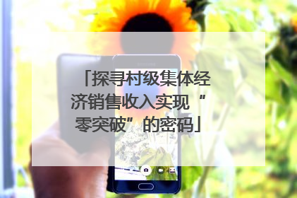 探寻村级集体经济销售收入实现“零突破”的密码