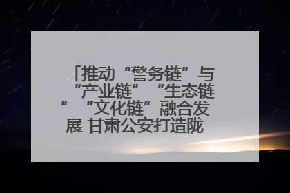 推动“警务链”与“产业链”“生态链”“文化链”融合发展 甘肃公安打造陇原旅游警务品牌