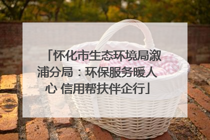 怀化市生态环境局溆浦分局：环保服务暖人心 信用帮扶伴企行