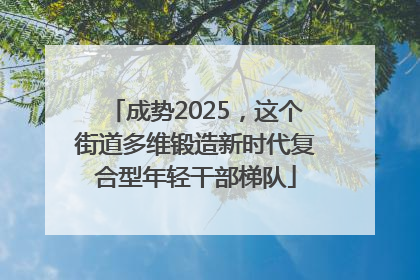 成势2025，这个街道多维锻造新时代复合型年轻干部梯队