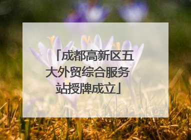成都高新区五大外贸综合服务站授牌成立