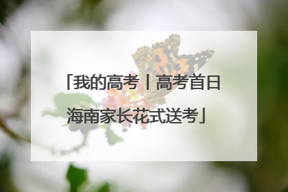 我的高考丨高考首日 海南家长花式送考